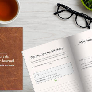 The Elegant Dialysis Caregiver Journal – Your Safe Space to Reflect, Release & Recharge